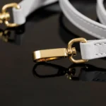 Miu Miu Arcadie Leather Bag