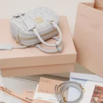 Miu Miu Arcadie Leather Bag