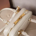 Miu Miu Arcadie leather bag